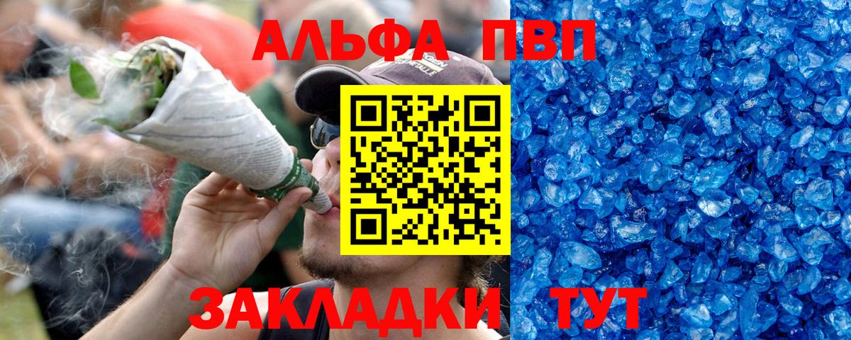 A PVP СК КРИС Петровск