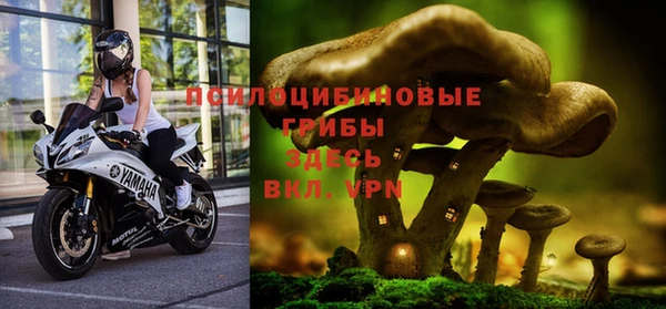 apvp Алексеевка