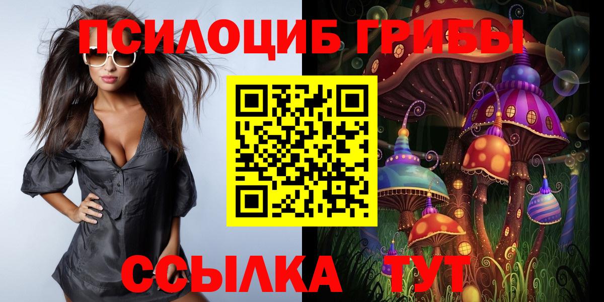 Галлюциногенные грибы Magic Shrooms Петровск
