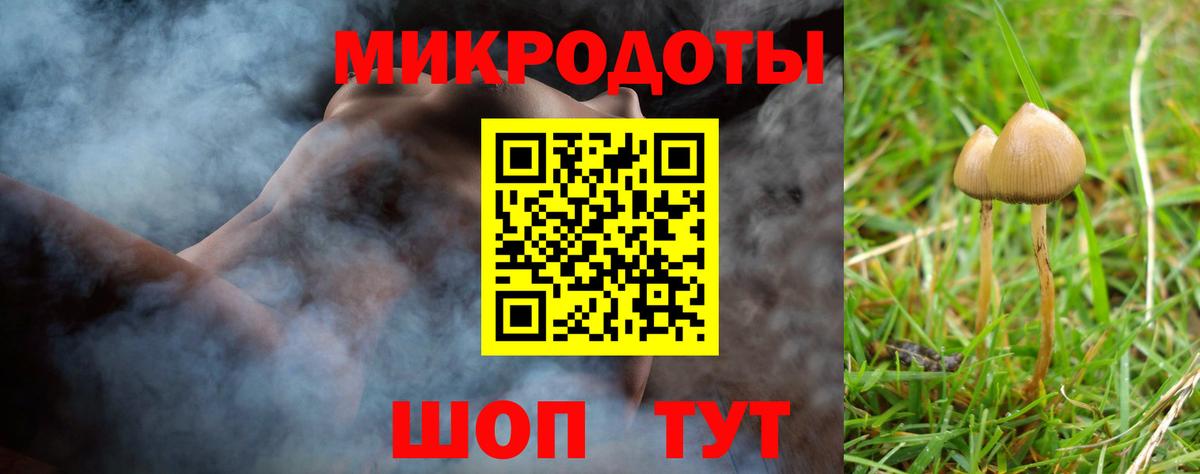 Петровск  Псилоцибиновые грибы мицелий  Вход с VPN 
